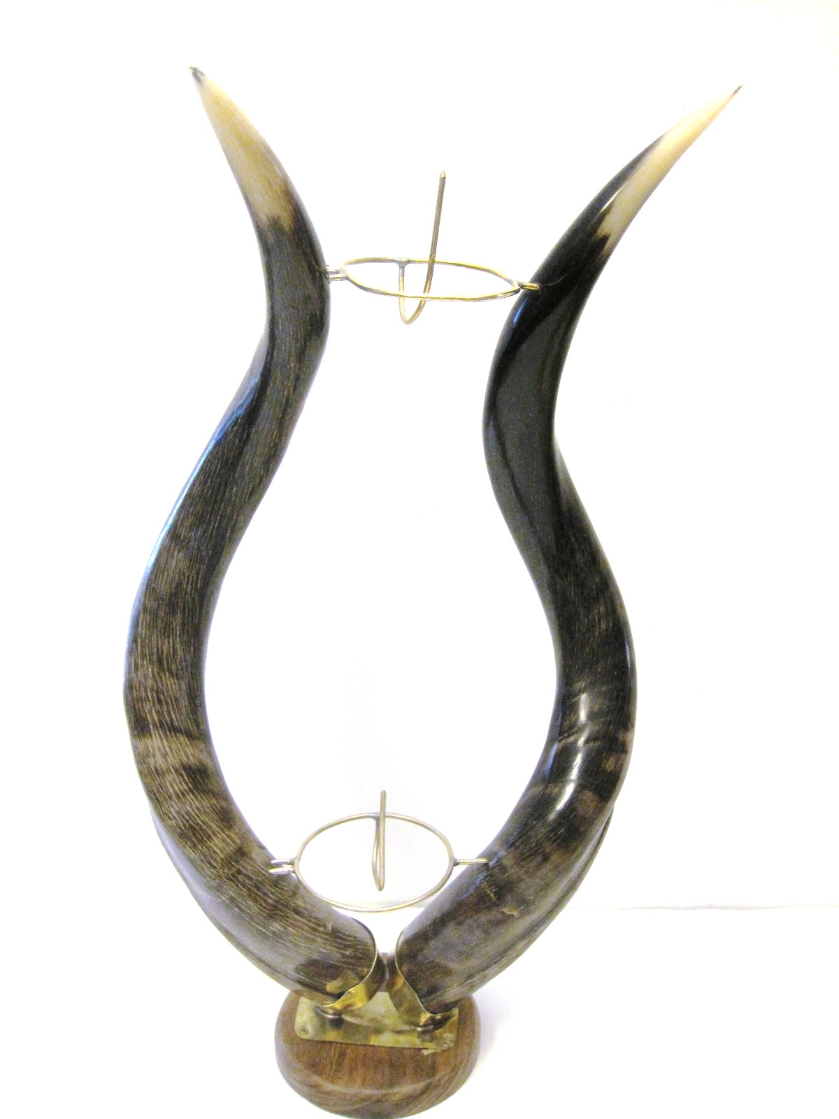 Kudu Horn Stand